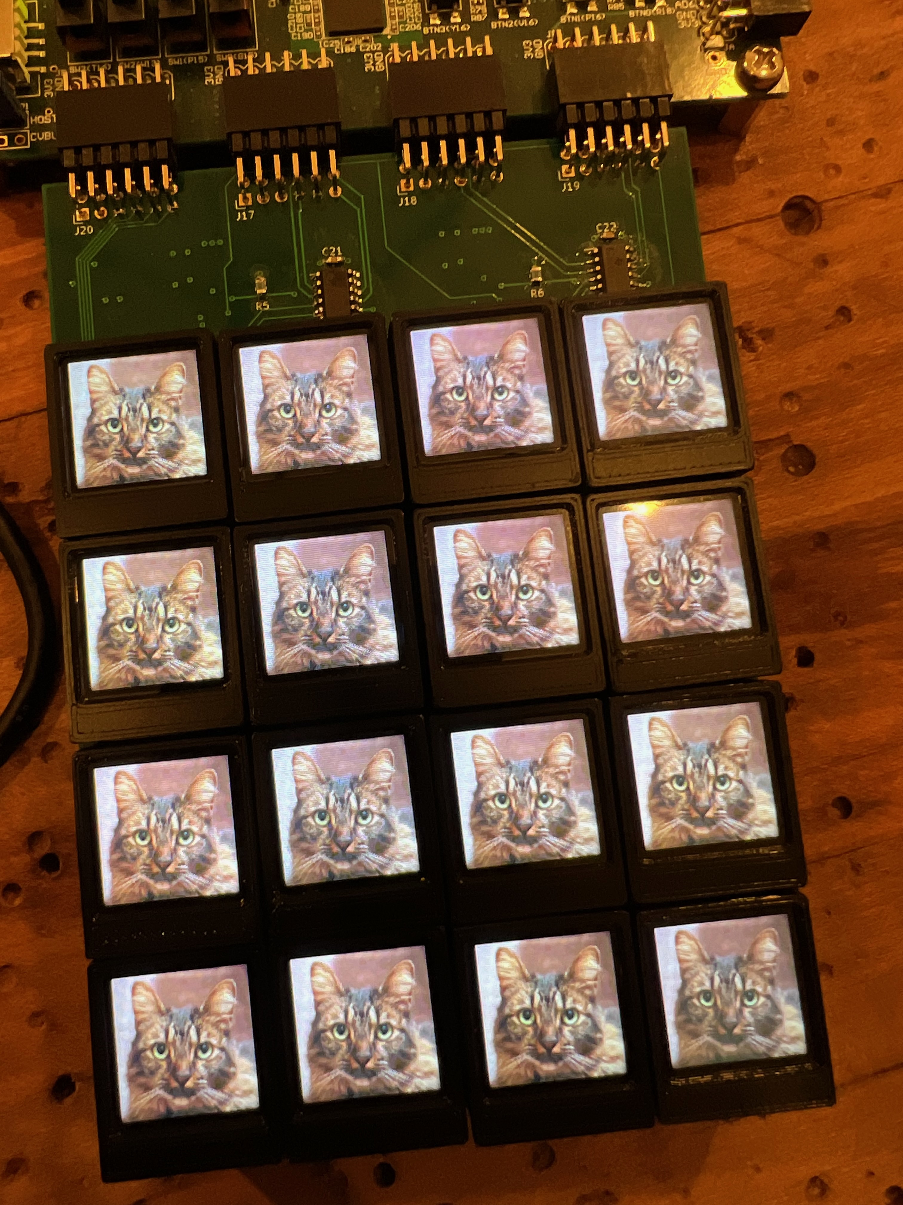 ButtonSlab showing a picture of Benedict the cat on all 16 LCDs